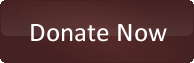Donate Now Button